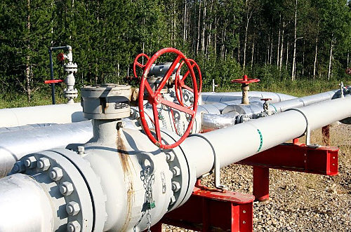 Gas pipeline near forest